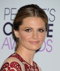 Stana Katic - 40th People's Choice Awards held at Nokia Theatre L.A. Live in Los Angeles (January 8, 2014) - 84xHQ 6zjUZinS
