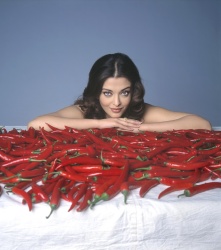 Aishwarya Rai, Dylan McDermott - промо стиль и постеры к фильму "Mistress of Spices (Принцесса специй)", 2005 (44xHQ) GQpsfLJ7