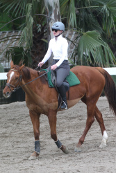 Iggy Azalea - Horseback riding lesson in LA - February 27, 2015 (20xHQ) Y118kywl